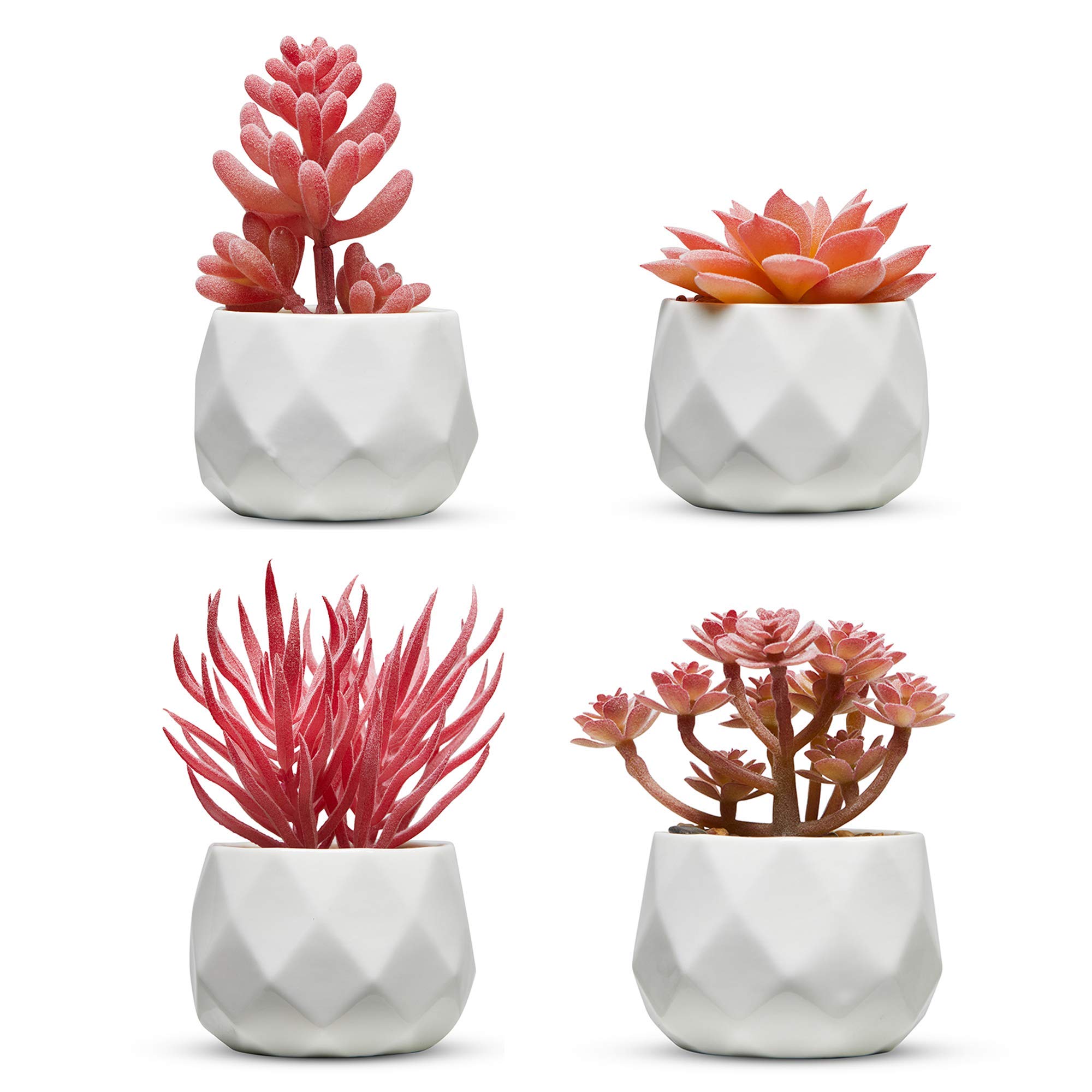 Nordik Set of 4 Faux Succulents