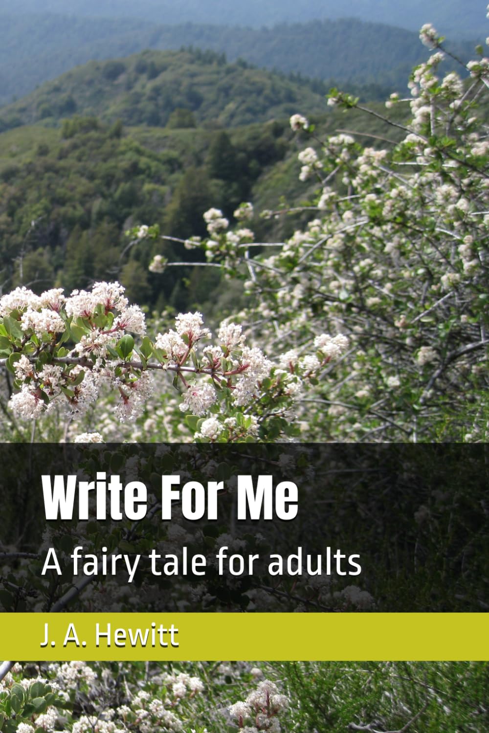 Write For Me: A fairy tale for adults