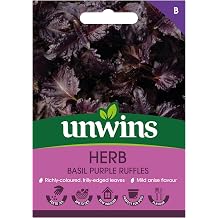 Herb Basil Purple Ruffles