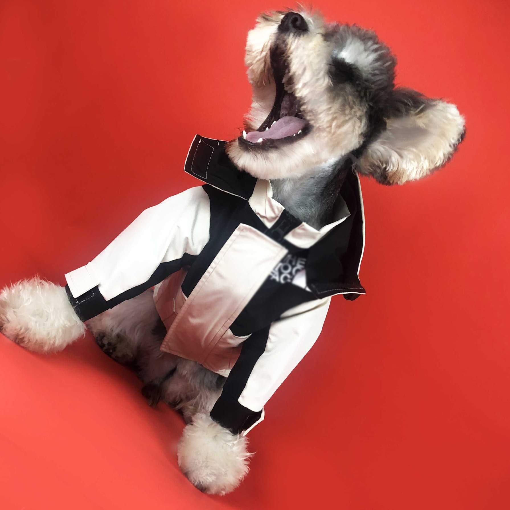 ジャケット・アウター dog Amazon | 犬用厚手のコートパーカー服、取り外し可能なダウン