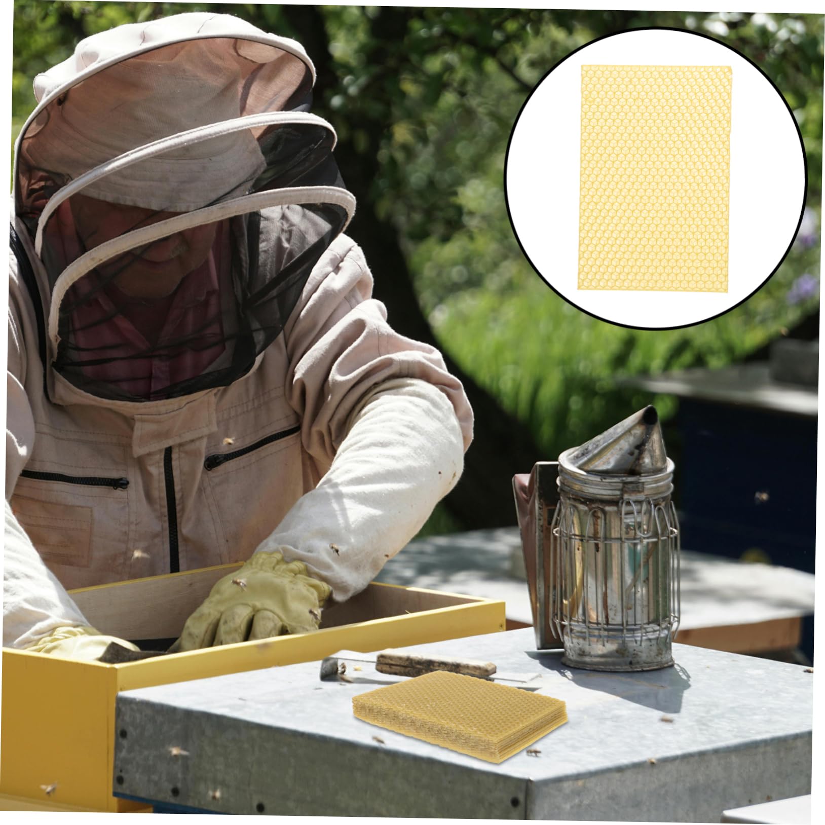 TOYANDONA 10 Pièces Plaques De Cire Gaufrée pour Cadres De Ruche Équipement Apiculture Cire Abeille Naturelle pour Nid Abeille