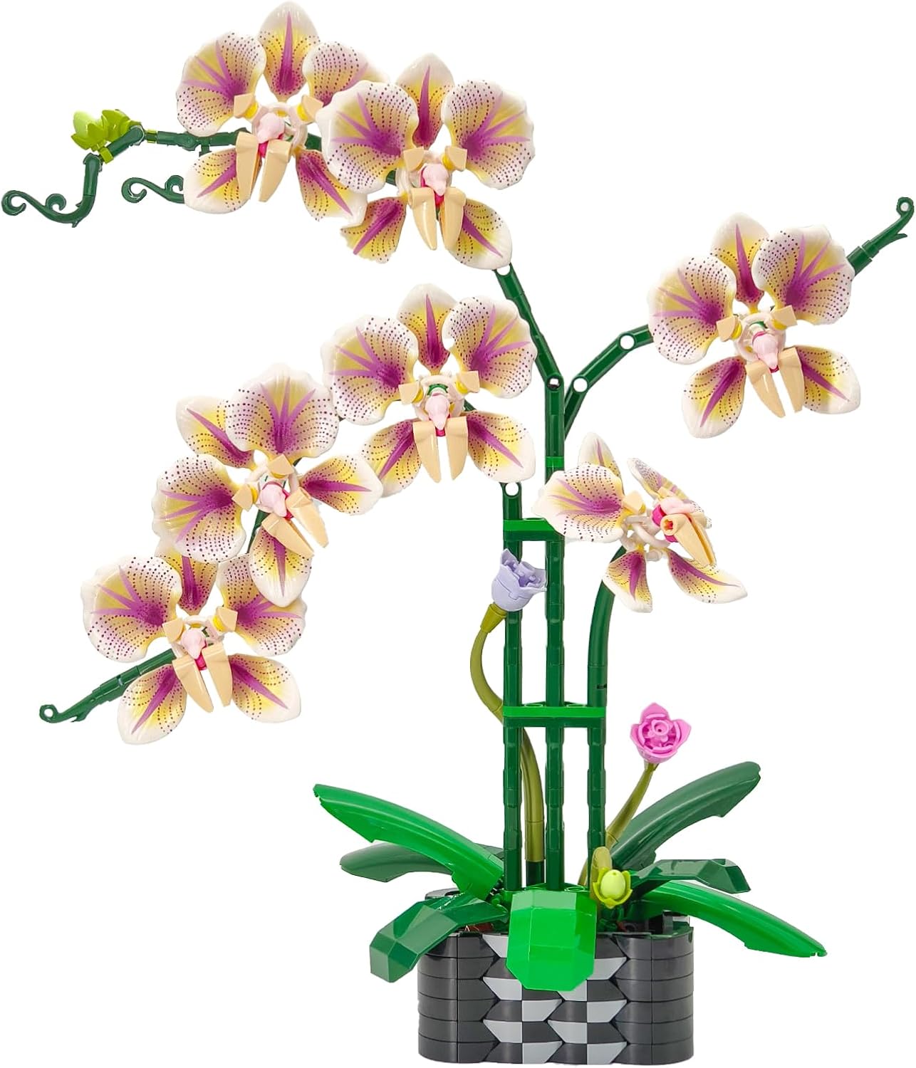 Orchid Flowers Building Block Sets, Compatible with Lego 853792 Accessory, Artificial Plant, Botanical Collection for Home, Kitchen, Desk Decor, Best Gift for Mom, Kids, 4+(Purple 697Pcs)