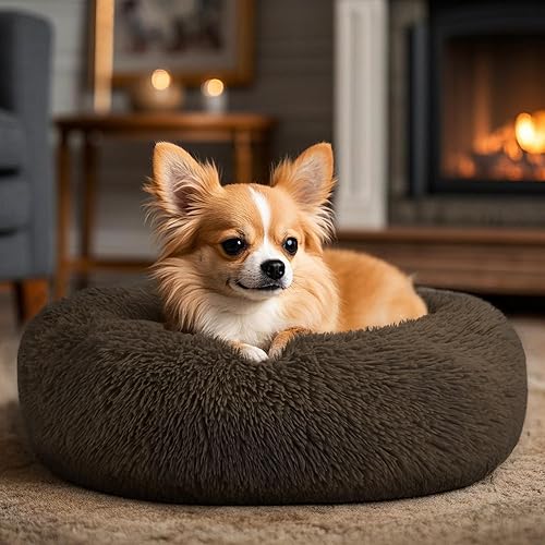 Miniatura 5 de Hoewina - Cama para perros y gatos de interior pequeños y medianos, cama calmante en forma de dónut de 20 pulgadas para cachorros y gatitos, cama