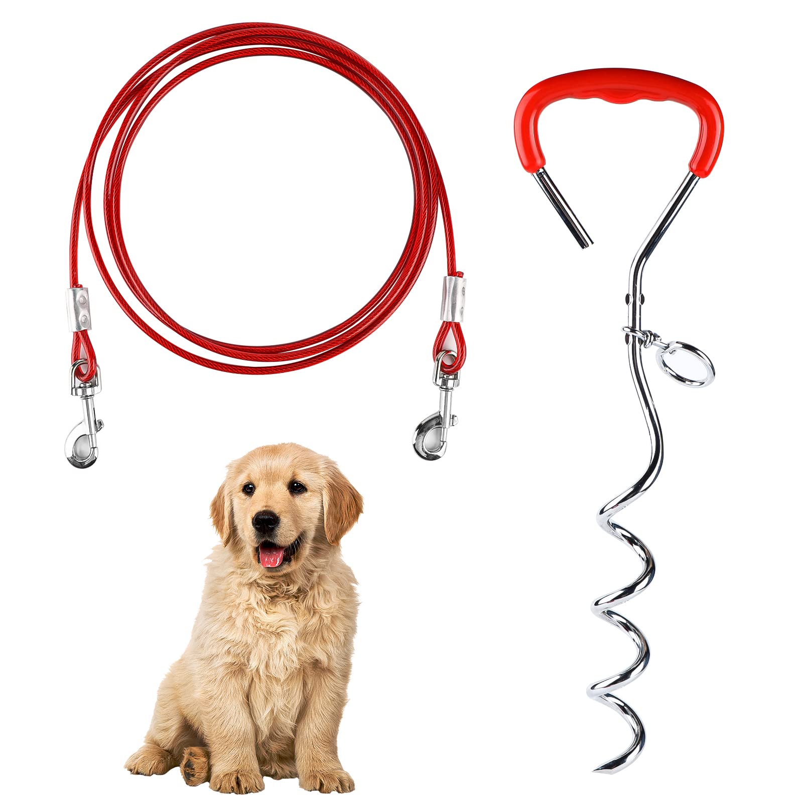 Attache longe chien en acier inoxydable EFUTURETIME et piquet ancrage spirale de camping