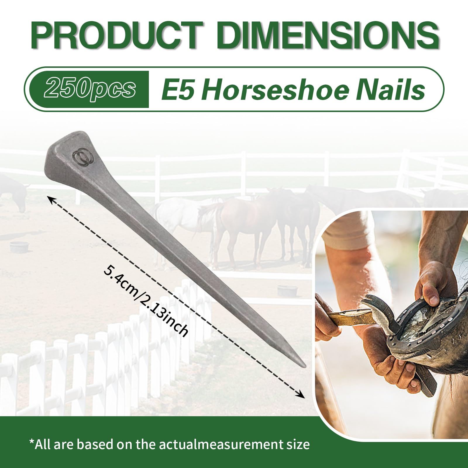 USUNFARM 250pcs Horseshoe Nails E6 Stainless Steel,2 Inches Easy Carry Hoof Horseshoe Tools,Securing Firmly Tool Accessory for Horse Training Equestrian Sports (E6)