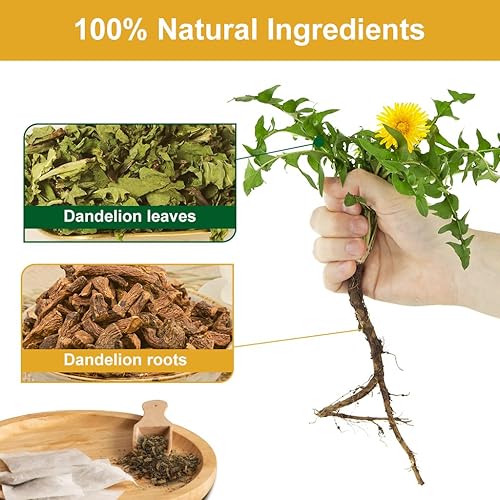 Miniatura 3 de Té de hojas y raíces de diente de león, digestión y apoyo inmunológico, sin cafeína, 40 bolsas2.82oz