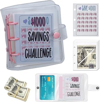 Mini Budget Binder with Cash Envelopes - Easy and Fun Way to Save $1000 - Cash Envelope Binder for Offices, Home, School Pink