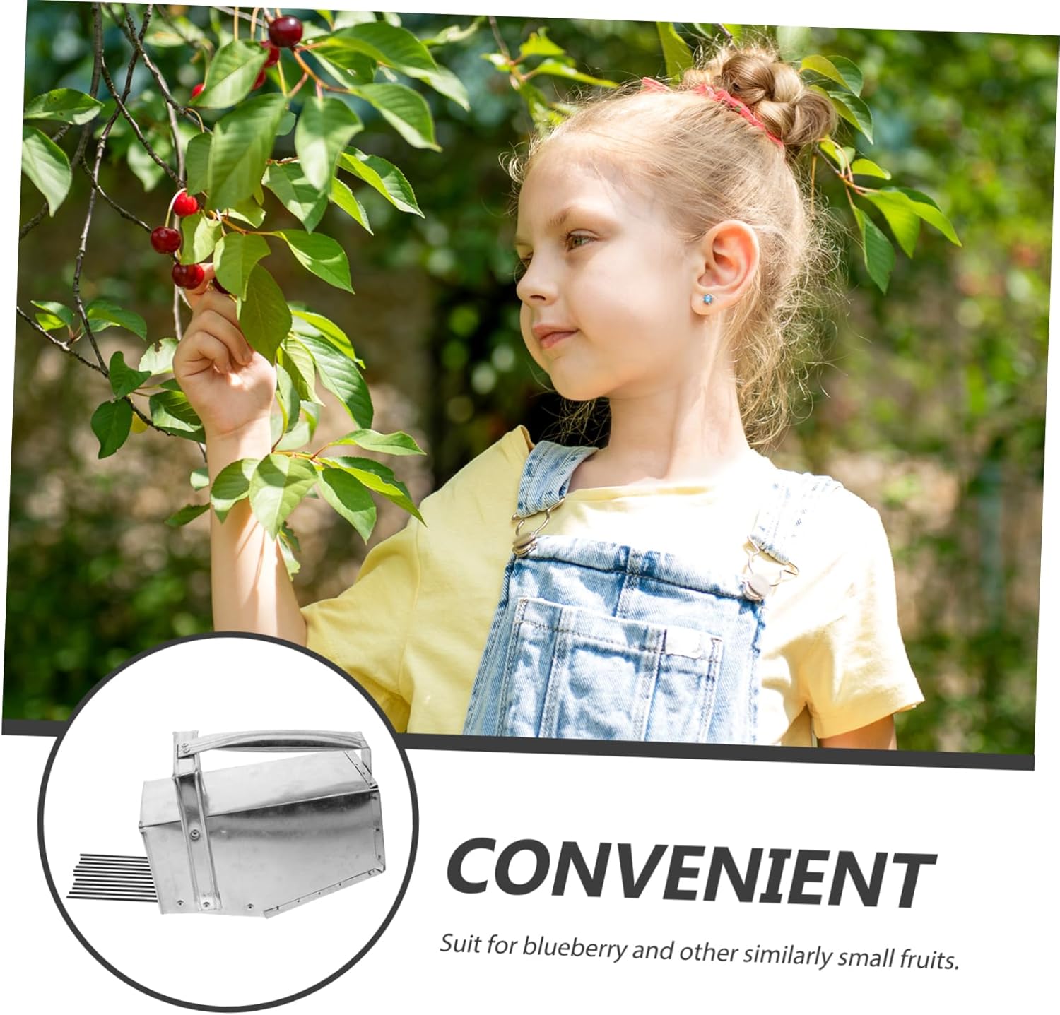 Blueberry Rake Picker Berry Picker Tool Handheld Fruit Blueberry Device Multi-use Berry Tool for Gardening