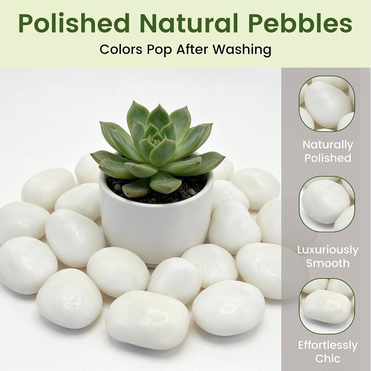 10 lbs White River Rocks, Polished Pebbles for Indoor Plants, 1-2 inch Decorative White Stones for Plants Vase Aquarium Fish Tank and Outdoor Garden Landscaping Rocks