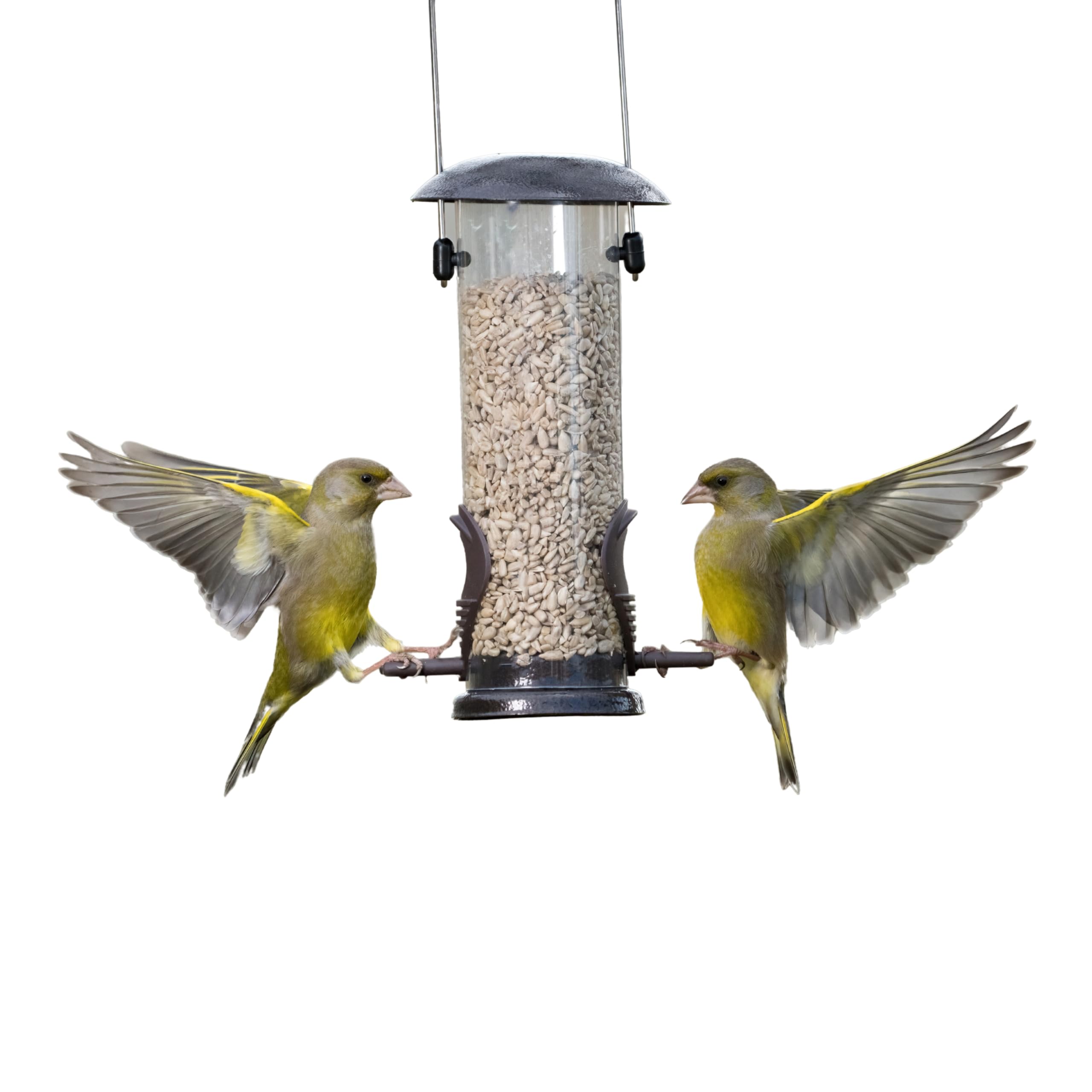 Eco Bird Food Sunflower Hearts – 2kg Bird Seed – Bakery Grade Sunflower Seeds for Garden Birds with No Husks or Shells – Plastic Free, Biodegradable & Recyclable Packaging