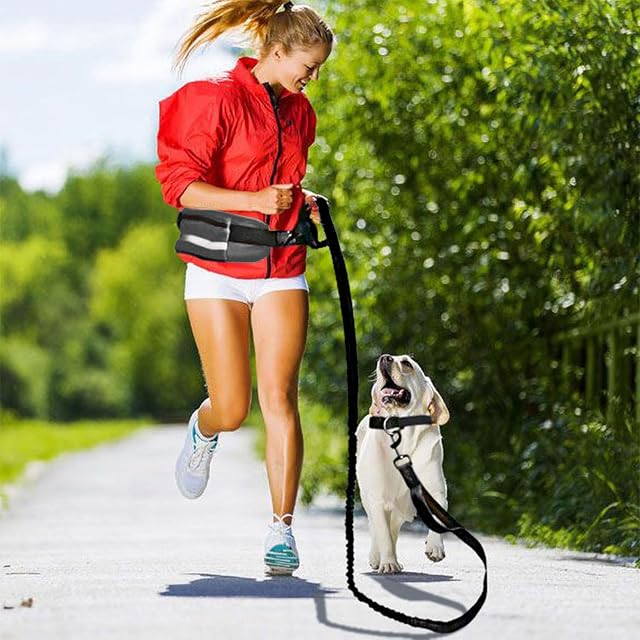 Foto 2 de 8 de WINH Correa de Perro del Bolso de la Cintura