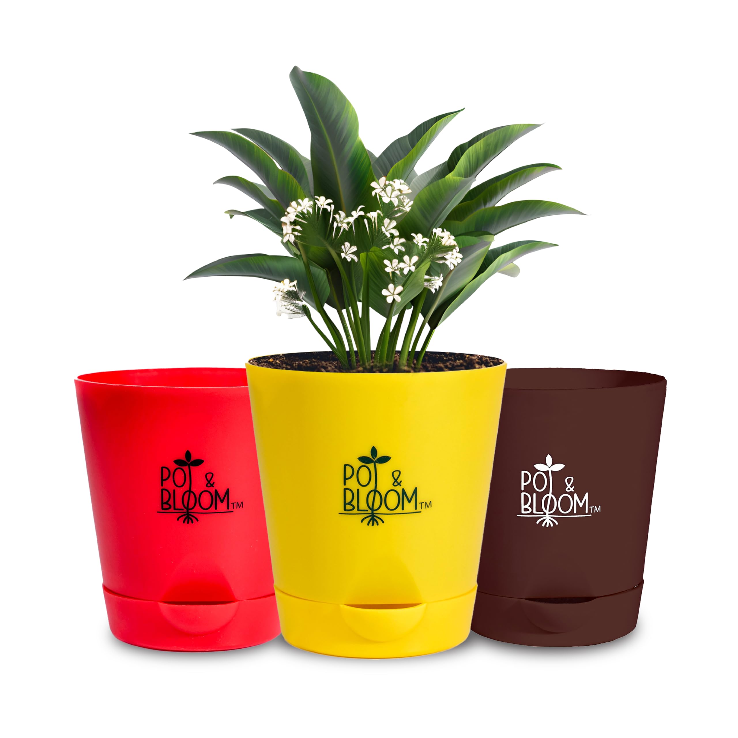 See full amazon price history chart for Pot and Bloom 4-Inch Self-Watering Pots, Set of 3, Red, Yellow, Brown Pot and Bloom 4-Inch Self-Watering Pots, Set of 3, Red, Yellow, Brown (B0D9B9XJ9X) Amazon Price History, Amazon Price Tracker