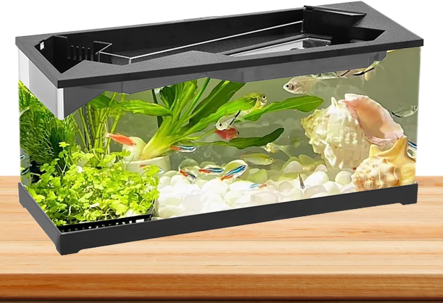 Small Fish Tank with Filter Clear Acrylic Aquarium Bowl Filtration Oxygenation for Shrimp Reptile