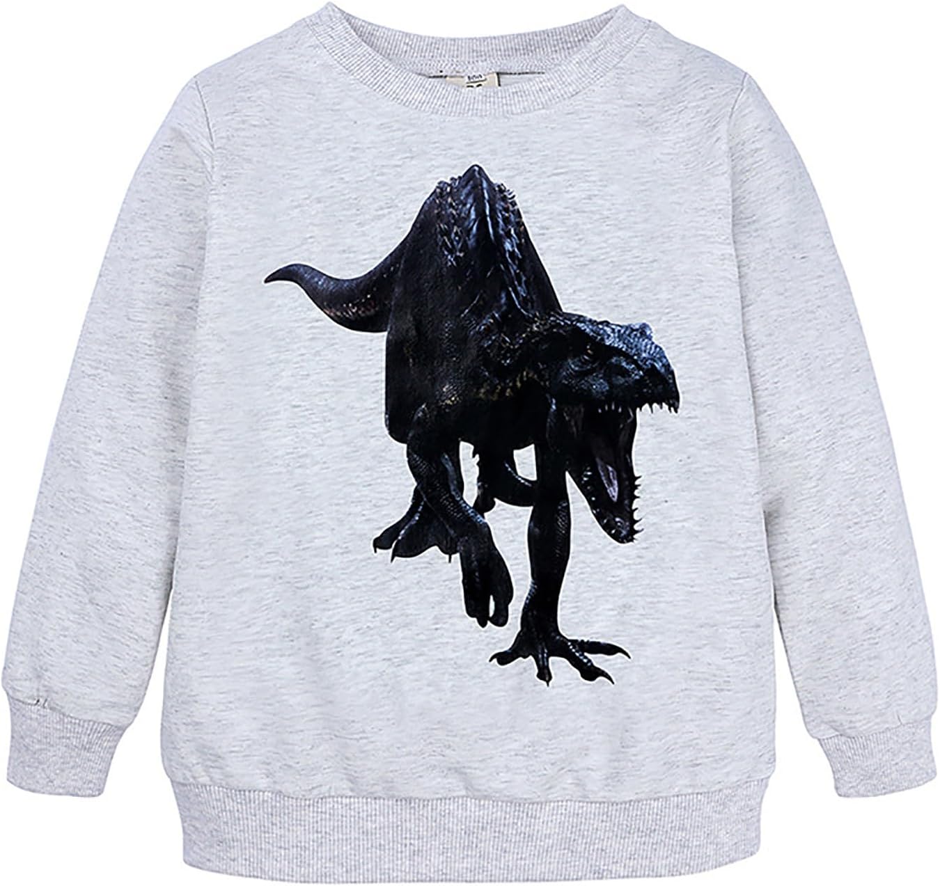 Sweatshirts For Girls Long Sleeve Crewneck Printed Pullover Tops Unisex Youth Cute Back To School Streetwear For Casual Wear