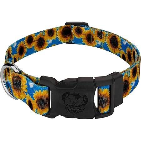 sunflower dog harness