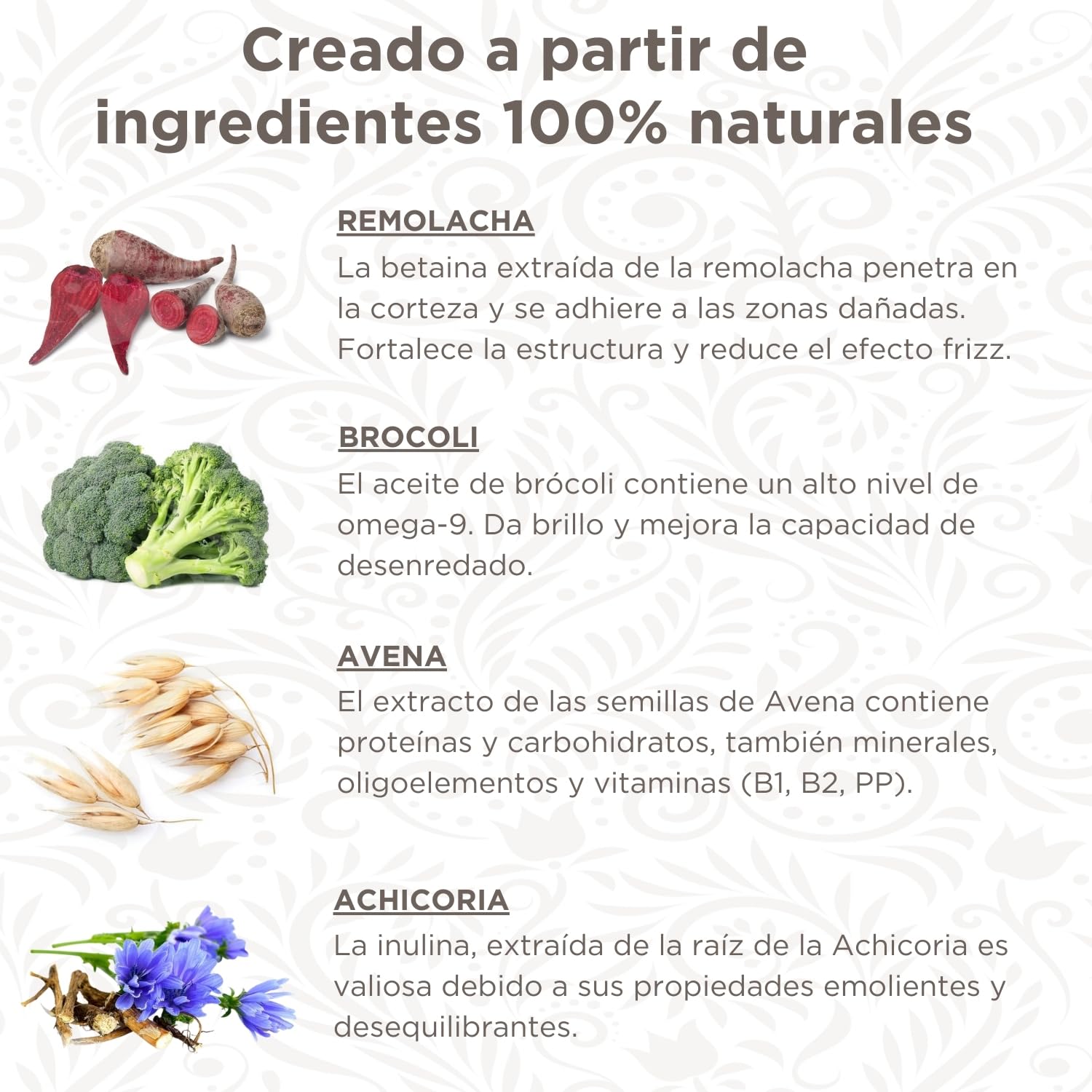 Lulu’s Way Champú para Perros con Acondicionador 500ML - 99% Natural - Piel Sensible - Dermatitis - Hidrata Suaviza y Mejora el Pelaje - Todas Las Razas - Sin alérgenos - Sin parabenos - Vegano