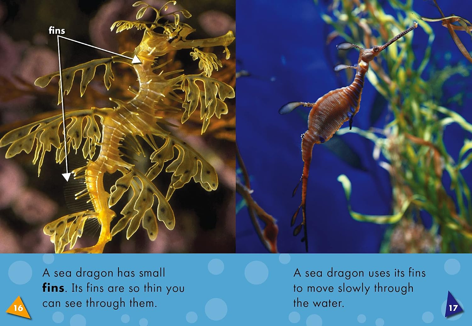 Sea Dragons (Blastoff! Readers: Oceans Alive) (Blastoff Readers. Level 2)