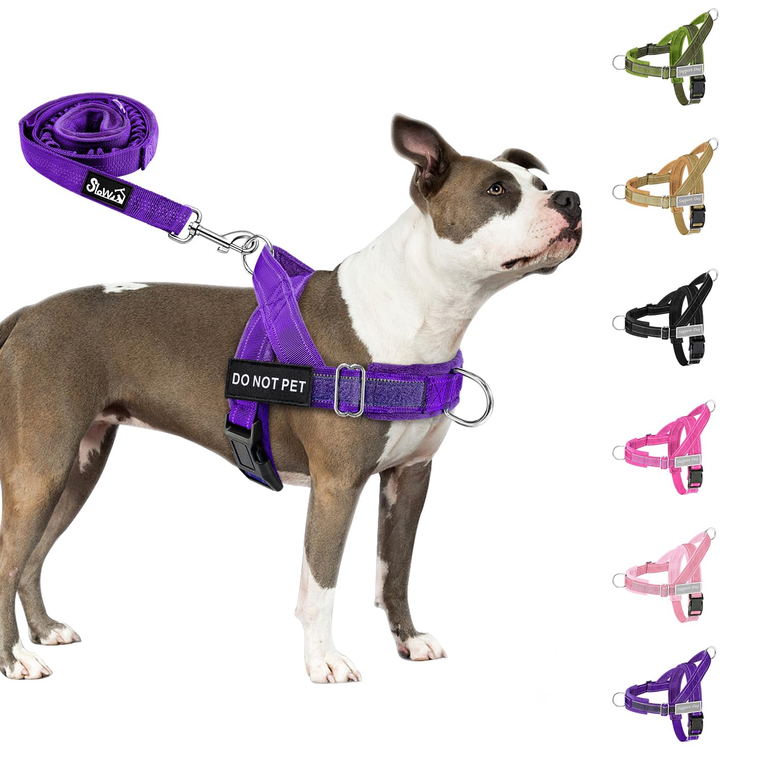 Eyein Hundegeschirr mit Leine für große mittelgroße Hunde, Weich gepolsterter Brustgeschirr mit 2 Leinenclips, Reflektierend & Leichtgewicht Anti Zug Geschirr für Spaziergänge Training, Lila, M