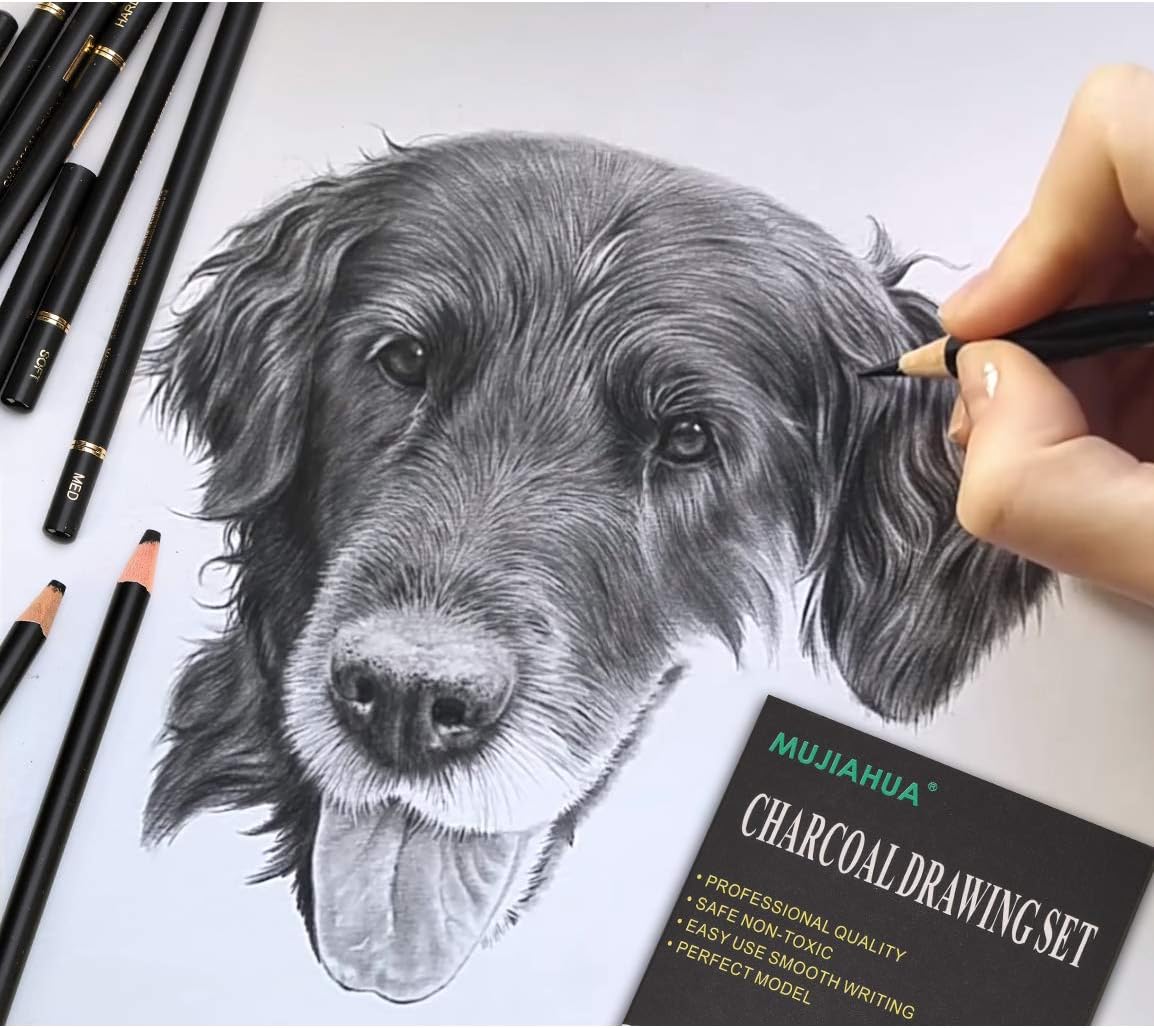 MUJINHUA Professional Charcoal Pencils Drawing Set - 12 Pieces Soft, Medium & Hard Charcoal Pencils for Drawing, Sketching, Shading, Ideal Artist Pencils for Beginners & Artists : Arts, Crafts & Sewing