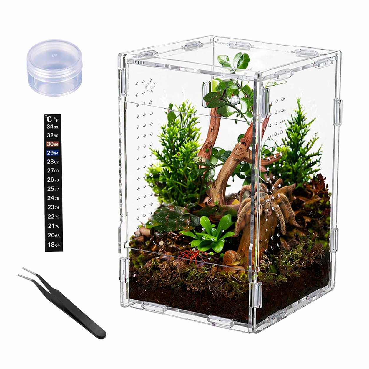 Photo 1 of Generic Acrylic Spider Enclosure