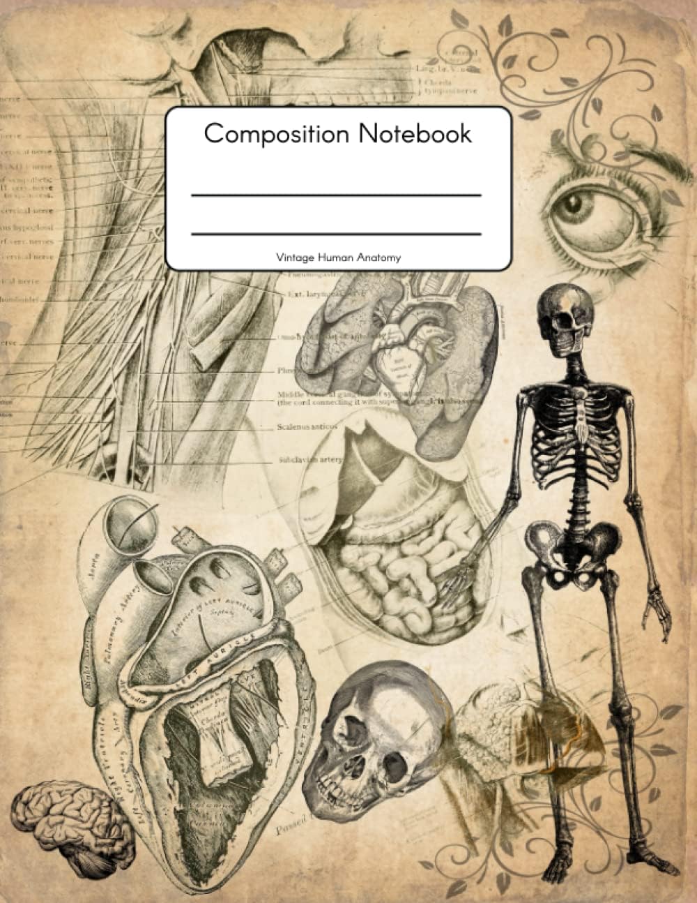 Vintage Human Anatomy Composition Notebook: A College Ruled Notebook for School Kids