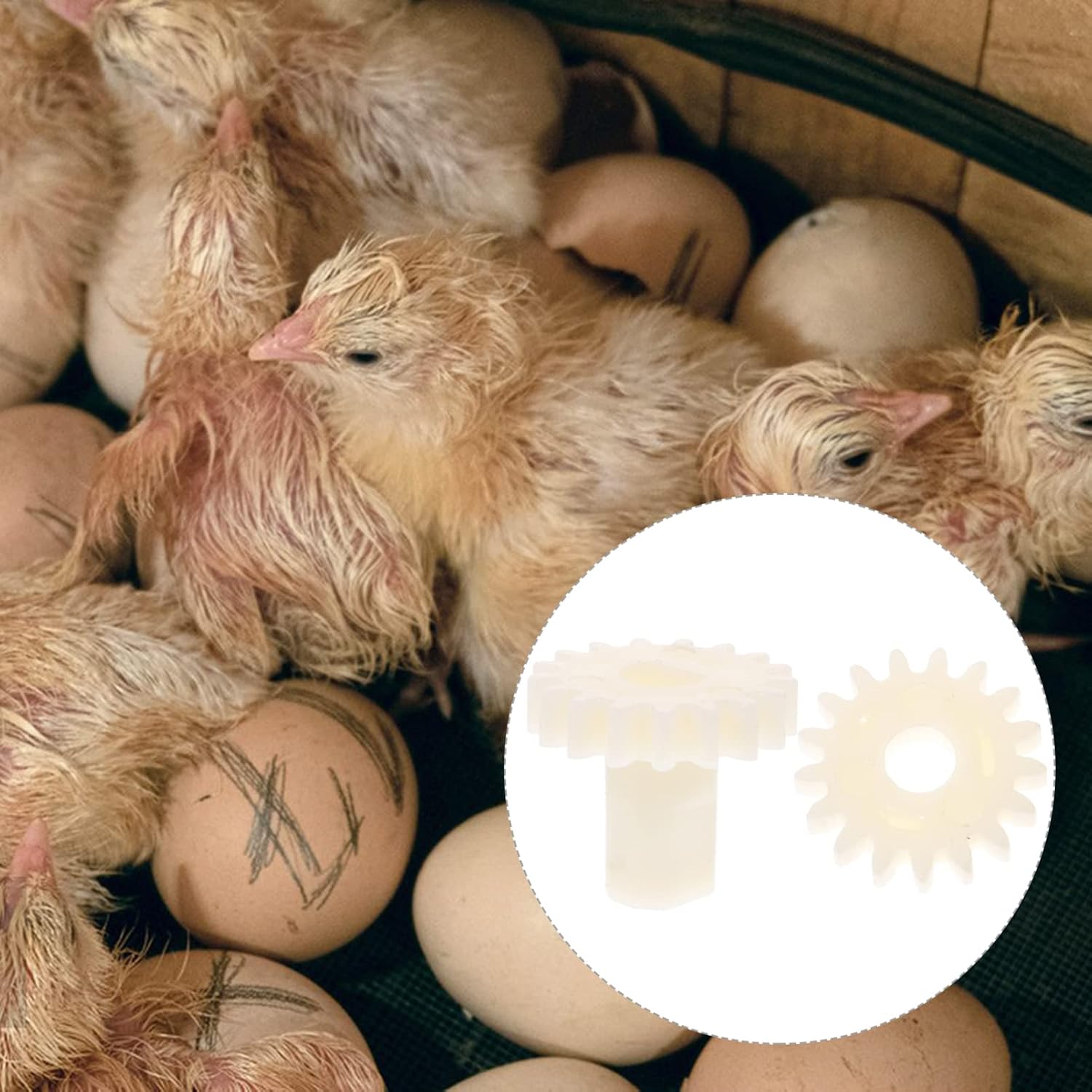 40pcs Turning Gears for Incubator Low Noise Low Power Consumption for Automatic Hatching Machines Essential Accessories for Chickens and Quail Eggs