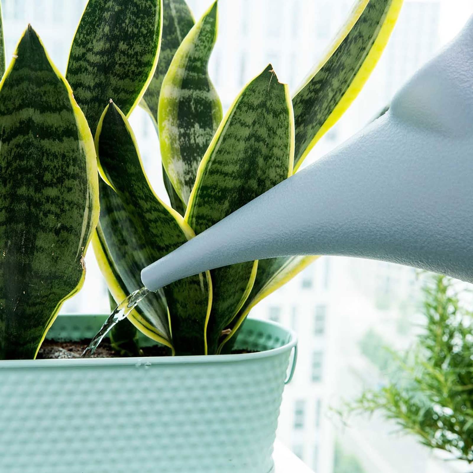 Arrosoir en plastique à long bec en forme d'éléphant pour plantes d'intérieur, accessoires de jardin, outils d'irritation d'intérieur (gris)