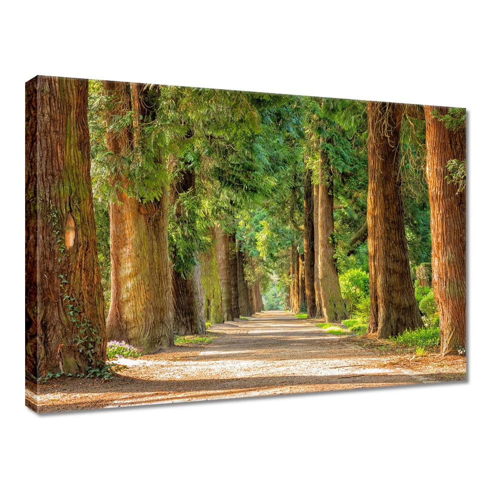 Peinture parc arbres toile deco pour creer un salon cosy nature
