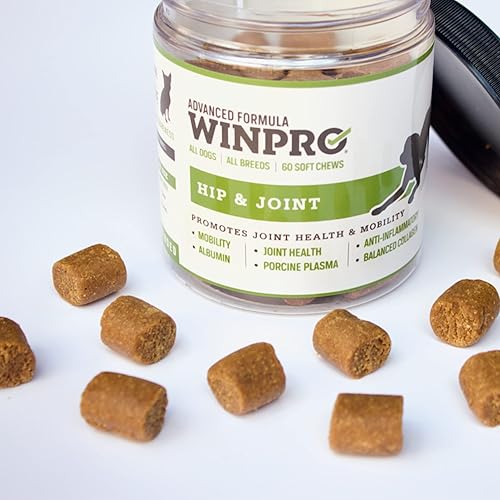 Miniatura 9 de WINPRO  Suplemento de cadera y articulaciones para perro, masticables impulsados por plasma para apoyo articular en perros de todas las razas y