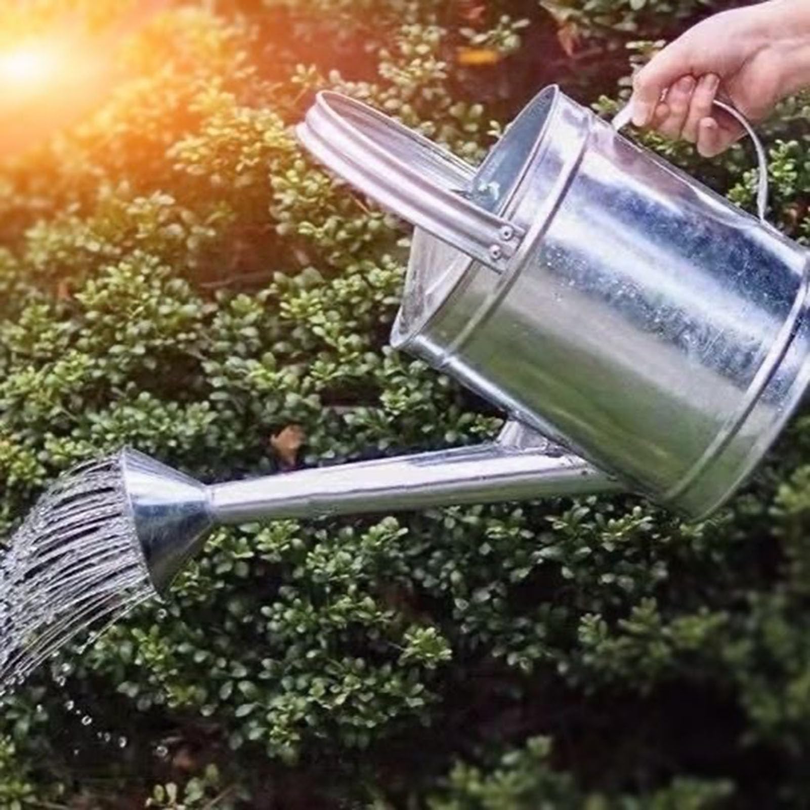 Annaffiatoio in Acciaio Inossidabile con Beccuccio Lungo E Manico Ergonomico per Piante da Interno Esterno Giardino Balcone Irrigazione Preciso,10L