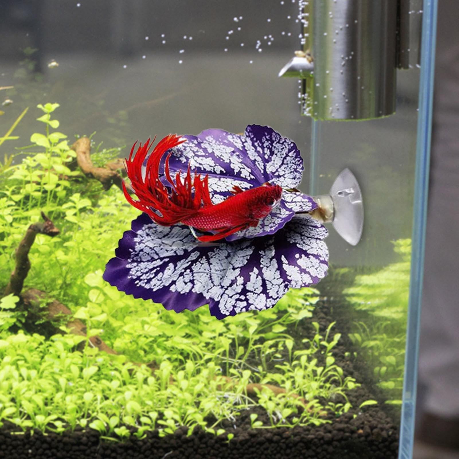 XIAOXIAOYU Feuille de Repos pour Poisson Betta, Coussinet de Feuilles de Poisson Betta,Feuille de Betta légère | Coussinet de Feuilles de Flexible et sûr, pour Aquarium de Poissons Betta, Aquarium,