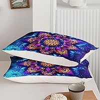 Vista 35 de AILONEN Juego de funda de edredón de rosas rojas tamaño Queen, juego de ropa de cama 3D con rosas rojas aceitadas para niñas, funda de edredón