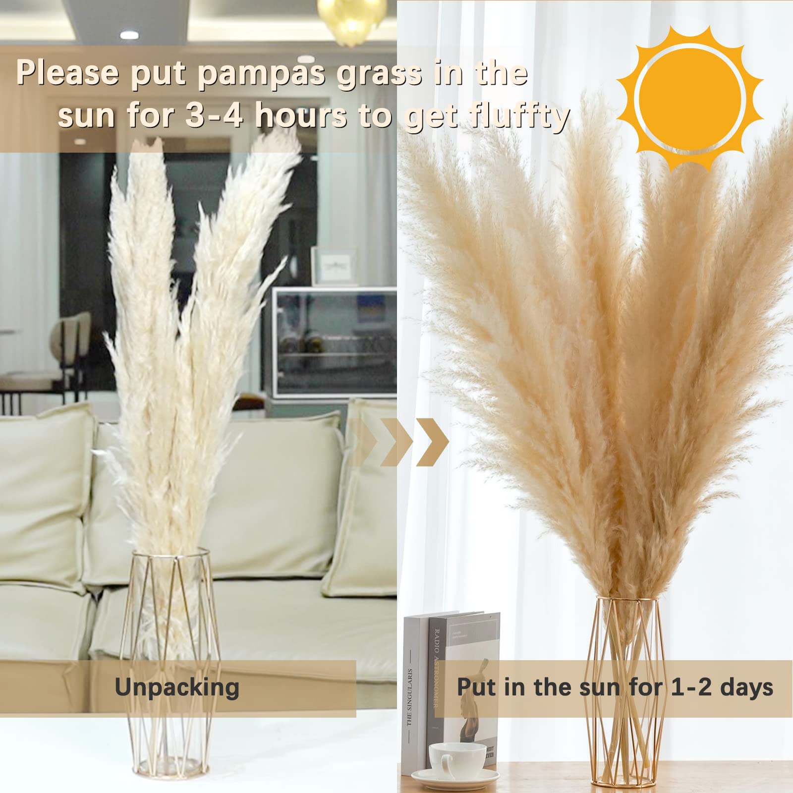 Pampas Grass 48 inch (4ft) Pampas Grass Decor Tall 5 Stems Natural