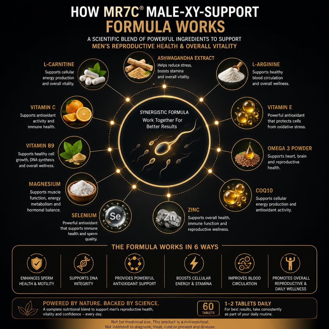 Male-XY-Support Tablets for Men | Men's Reproductive Wellness Supplement with L-Carnitine, L-Arginine, CoQ10, Vitamin E & Vitamin B9 | Supports Sperm Motility, DNA Integrity & Reproductive Health | 60 Tablets — Amazon image 4