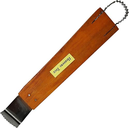 Rallador de coco Raspador Máquina trituradora Papaya Fruta Hierba Negro Jalea Raspador Herramientas Tailandesas Cocina Coco 2 en 1 Rallador de