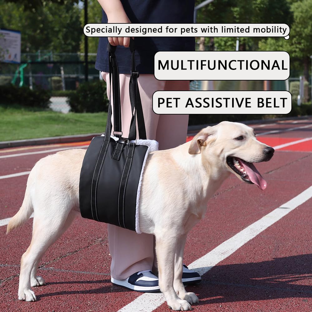 Imbracatura Cani Imbracatura Zampe Posteriori Regolabile Ripristinare la Debolezza Nella Gamba Posteriore per Sostenere Cani Anziani Feriti e Disabili (Nero, L)