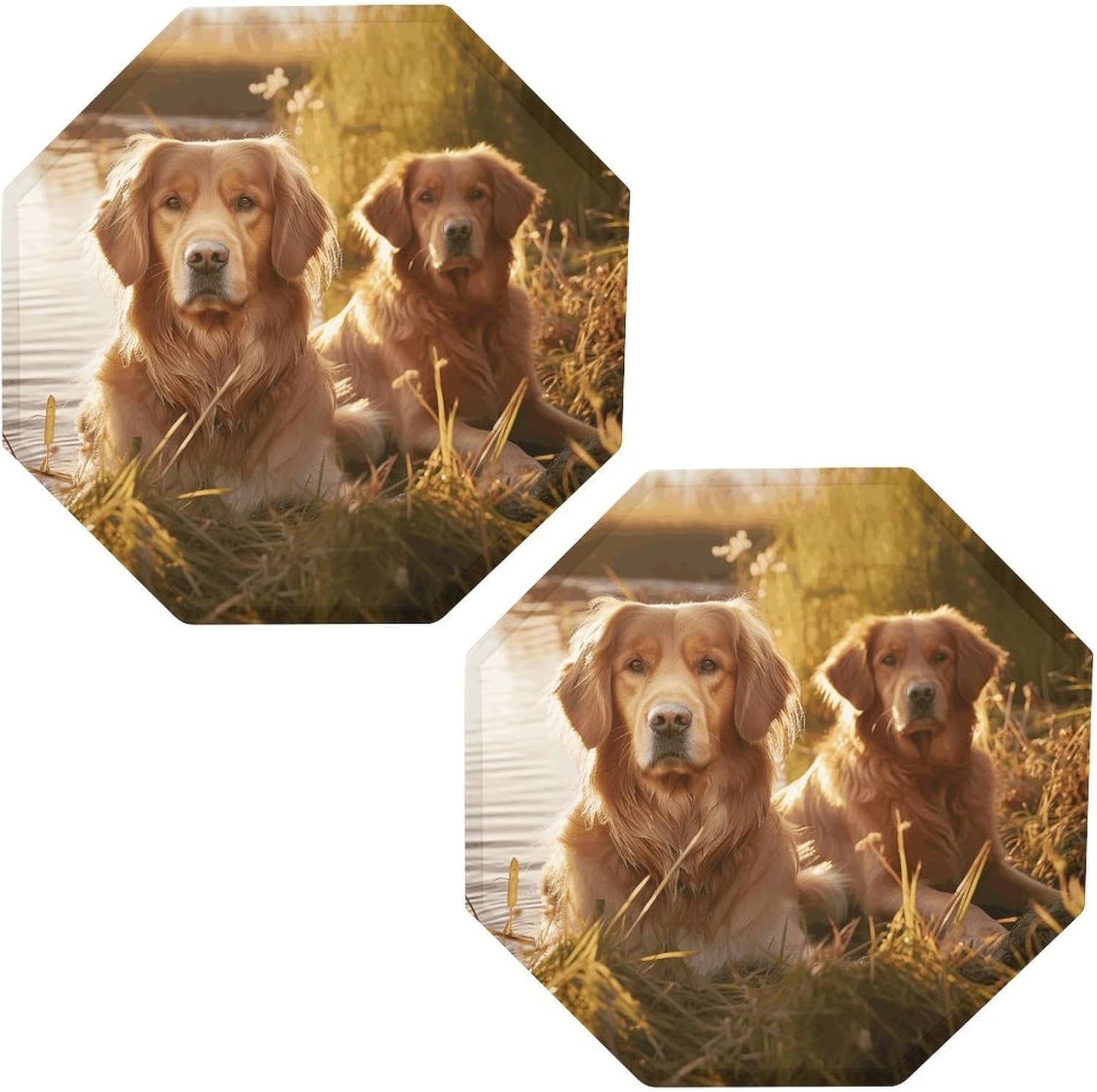 Ctagon Metal Sign for Home, Modern Display Plate for Kitchen, Two Golden Retrievers Plates Accent Hanging Wall Decorations 3PCS for Living Room, Bedroom, Hallway, Hotel