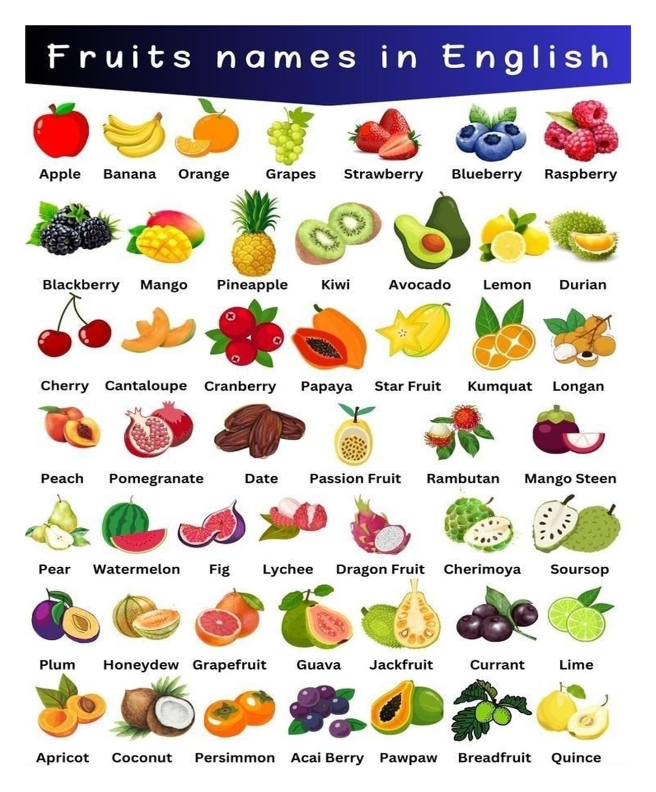 CBQZCHWDKT ABCs of Fruits English Poster - Alphabetical Chart with Pictures, Names and Nutrition, Educational Decor for Playroom or Nursery​​(Unframed,16x24inch(40x60cm))