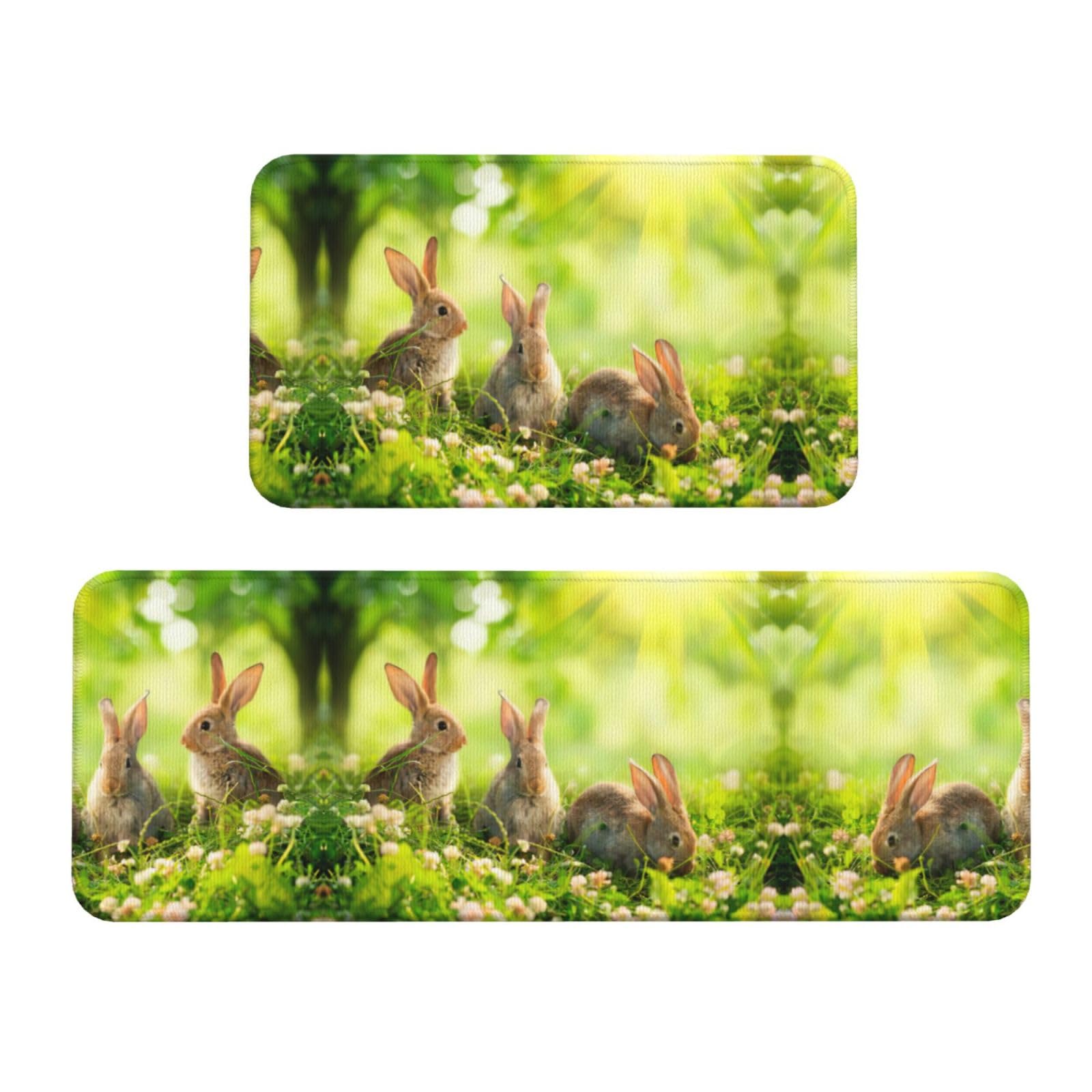 Tapis de cuisine absorbant lot de 2 lapin antidérapant pour sol et bureau
