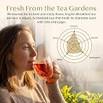 VAHDAM, English Breakfast Black Tea Bags (100 Count) High Caffeine | Strong, Robust & Flavoury | Pyramid Tea Bags | Full Bodied Black Tea Leaves