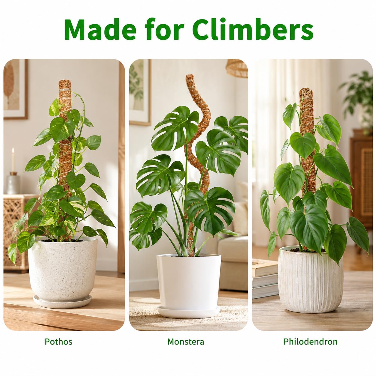 Moosstange, 71,1 cm, Moosstangen für Pflanzen, Monstera, biegbare Pflanzenstützpfähle für Kletterpflanzen im Innenbereich, Garten-Rankgitter für Topfpflanzen, Pothos, 2 Stück