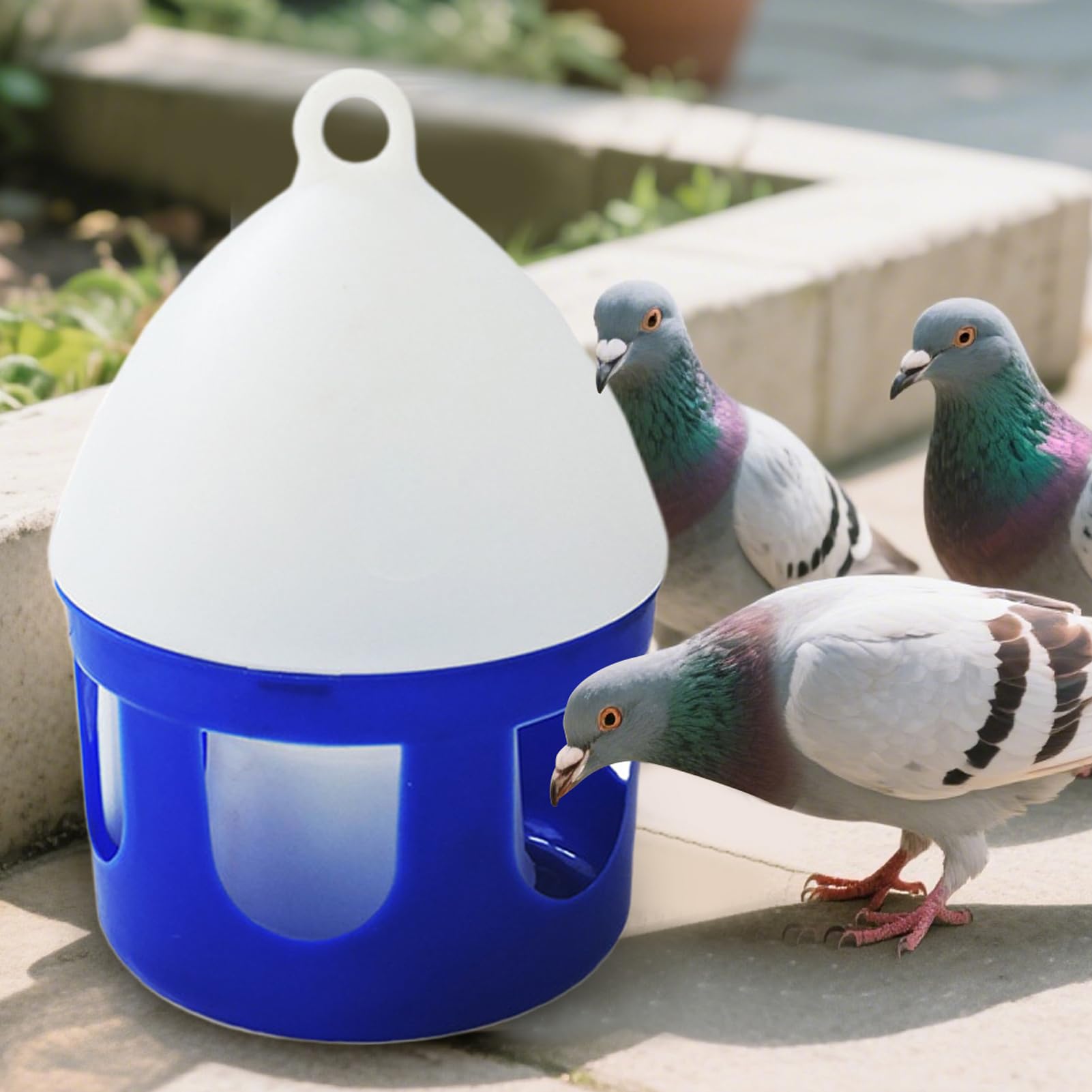 Abbeveratoio per piccioni, grande erogatore di acqua piccioni, rimovibile, a prova di perdite, per piccioni, parrocchetti, polli