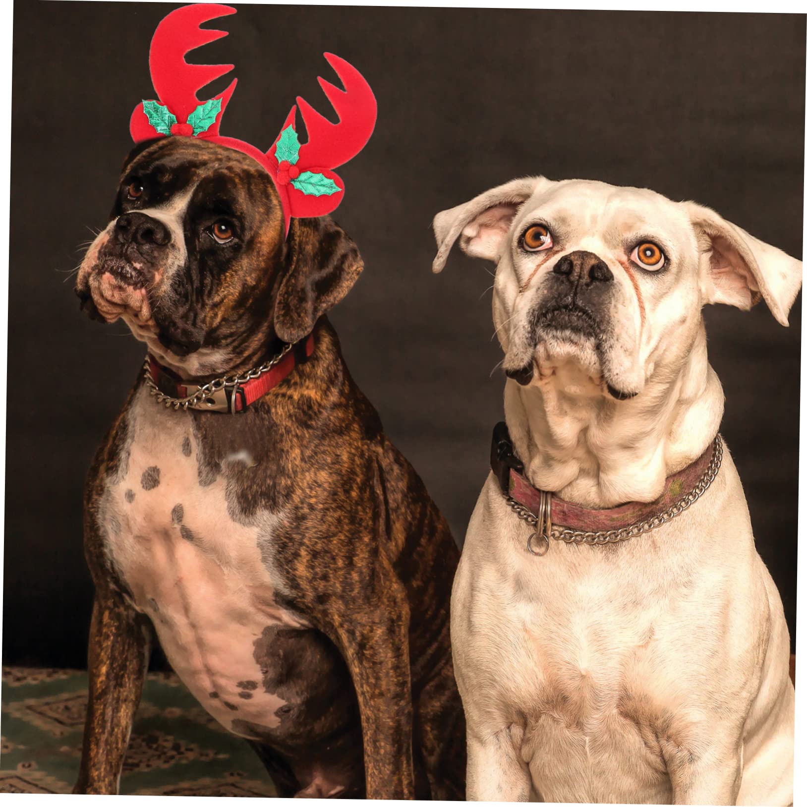 POPETPOP 3 Set di Bandane Natalizie per Cani Sciarpe E Foulard Riutilizzabili E Lavabili Accessori per Cani