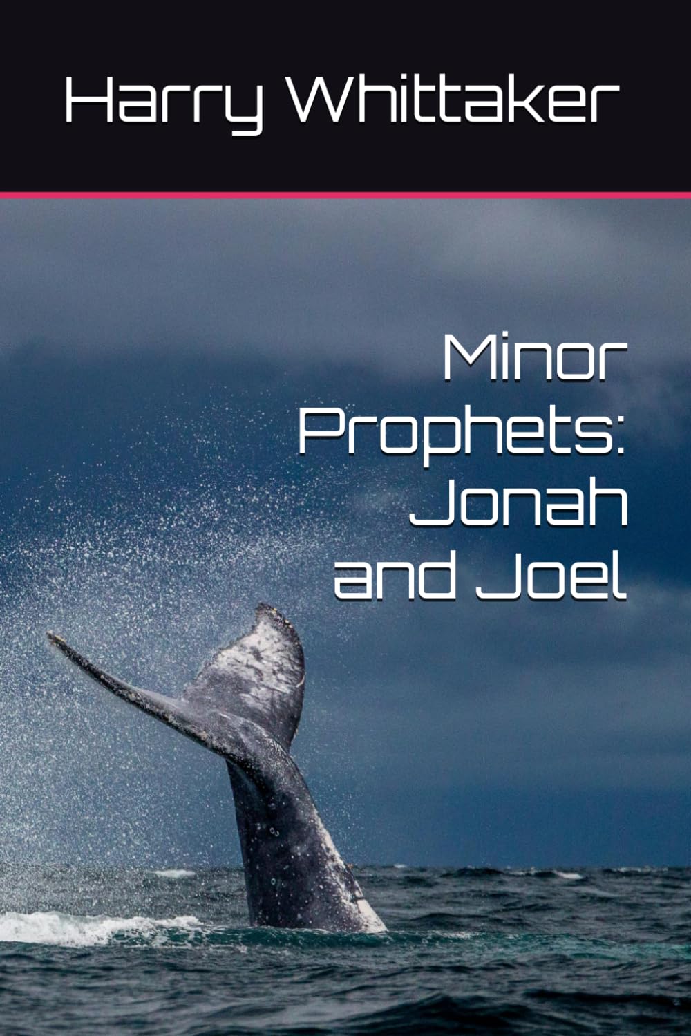 Minor Prophets: Jonah and Joel