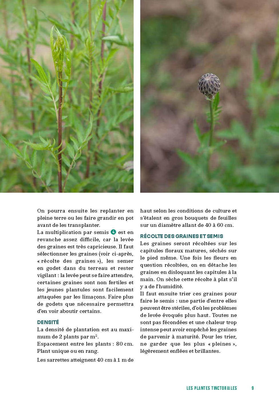 Cultiver les plantes tinctoriales: Créer son jardin, ses couleurs et ses teintures