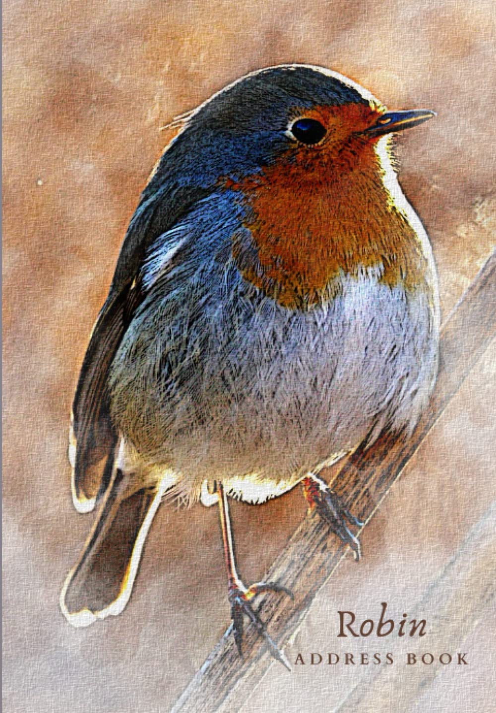 Robin Address Book: Gift Quality | Alphabetical Addresses | Anniversaries & Birthday Reminder | Meanings | Notes & Personal Information | Robin Watercolour Design | Ideal Robin Redbreast Gift