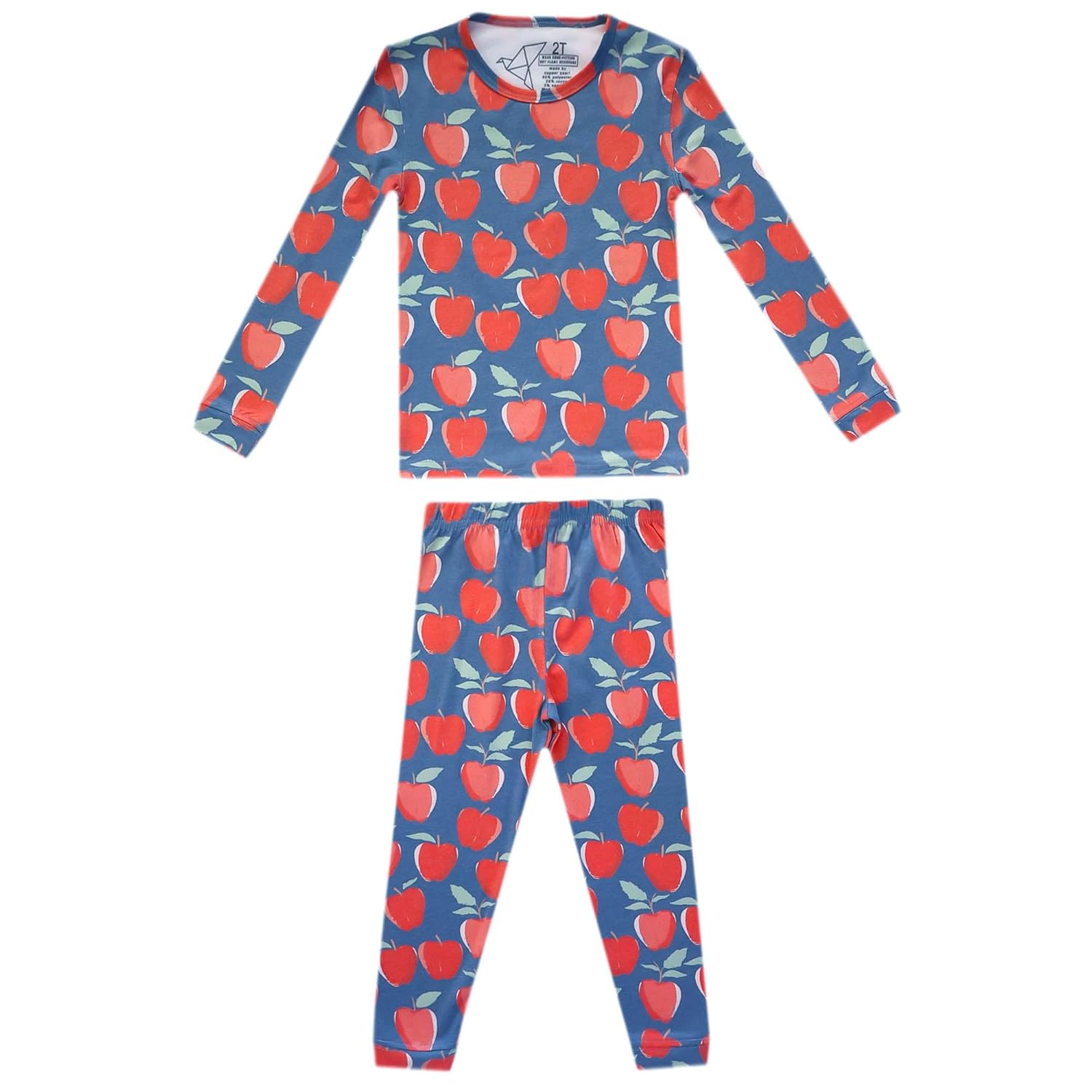 Copper Pearl Two Piece Long Sleeve Toddler Pajamas PJ Sets for Boys and Girls – Adorable Pattern Pajamas, Breathable Fabric to Keep Cool While Sleeping, Sizes 12 Months to 5T – Teacher