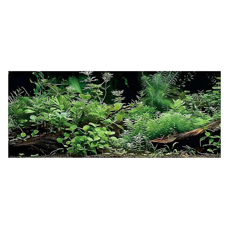 Fundo para Aquário em Poliéster com Estampa de Paisagem Subaquática Green Dizifinn, 120 x 60 cm