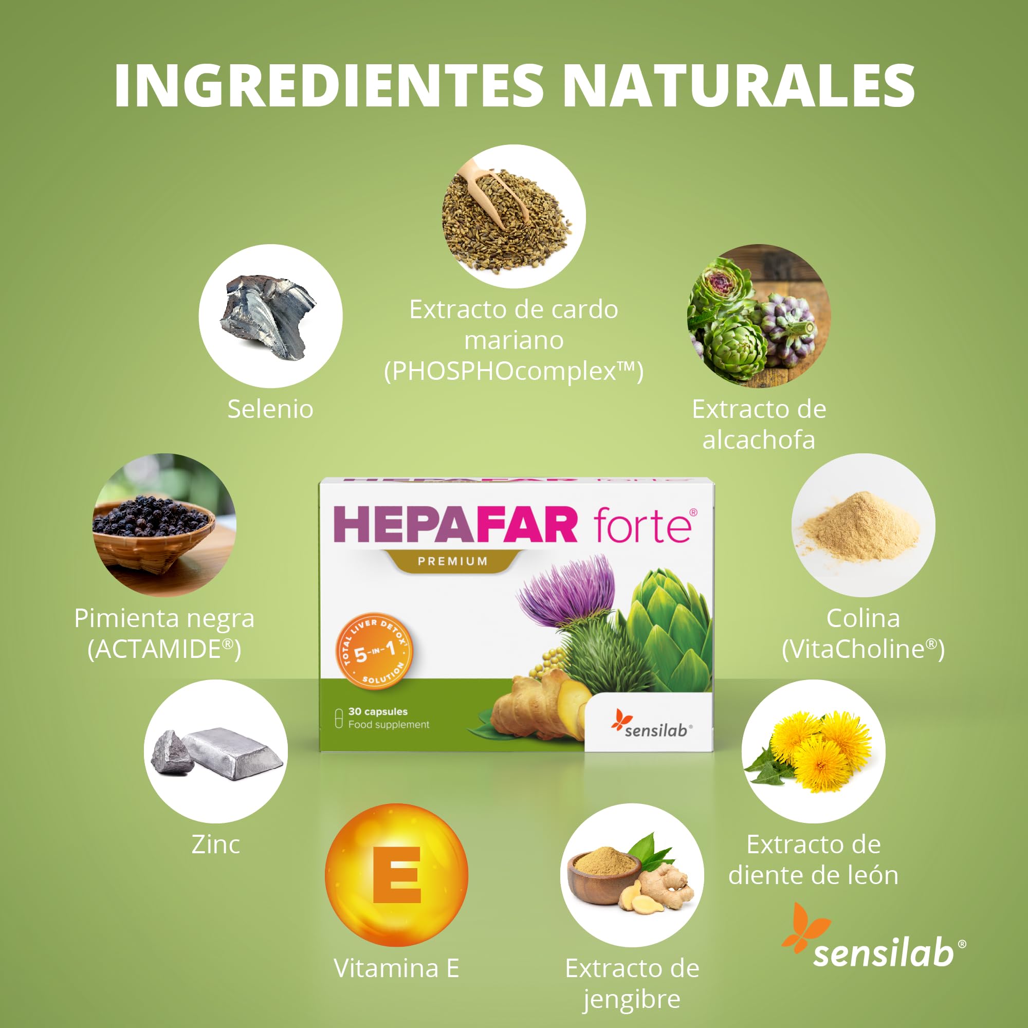 Detox - Cardo Mariano, Zinc, Alcachofa, Selenio, Jengibre, Diente de Leon, Vitamina E - Detox Higado - 120 Cápsulas para 60 días - Alta Biodisponibilidad - Hepafar Forte Premium, Sensilab