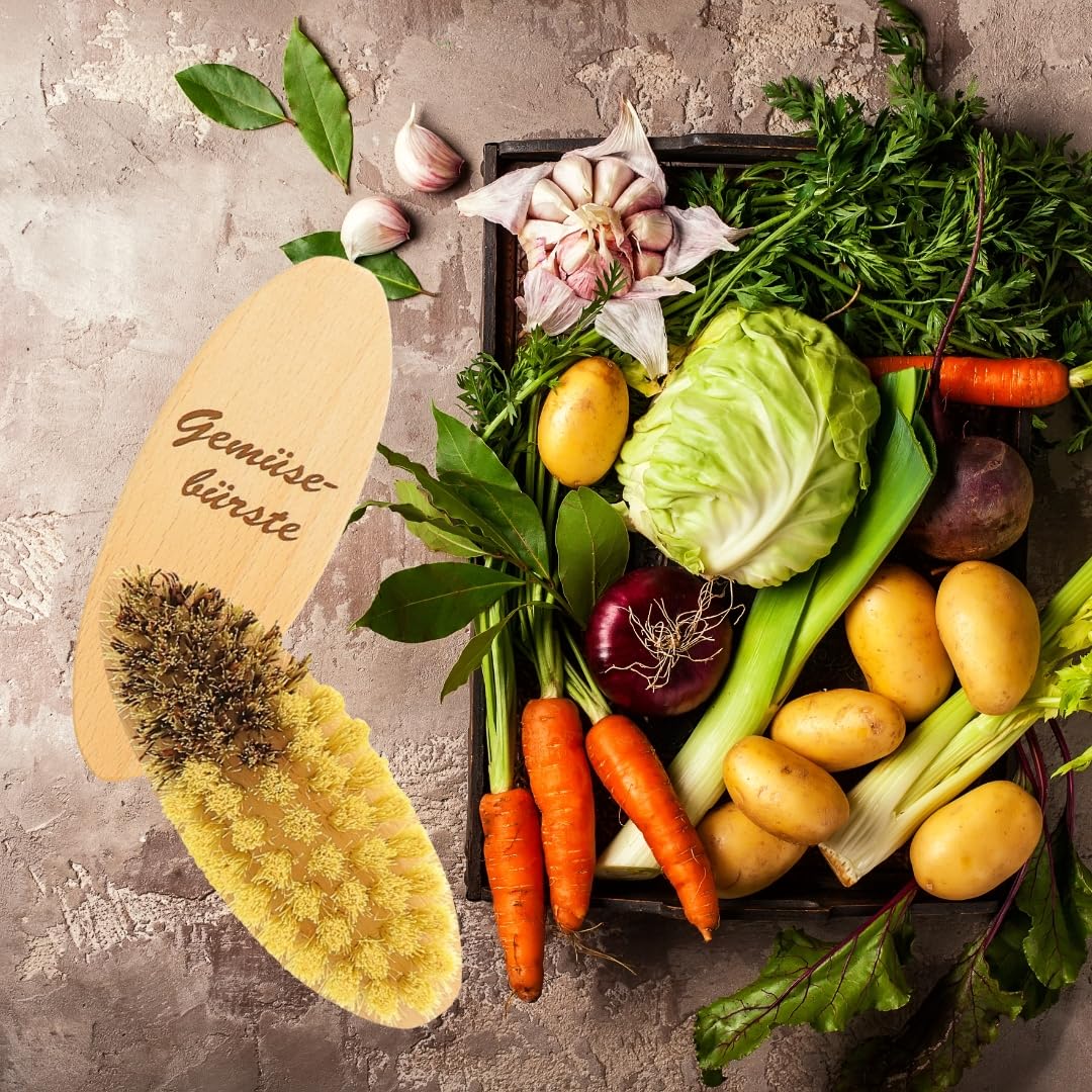 Hofmeister® Cepillo para Verduras 13,5 cm Madera - cerdas Naturales 2 Grados de dureza: Unión Genuina y Fibra, para Patatas, Zanahorias y Verduras, Made in EU
